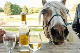 Winelands Tour